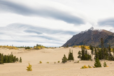 Klondike Highway, Yukon Territory, Canada