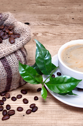 Kaffeeanbau in Vietnam
