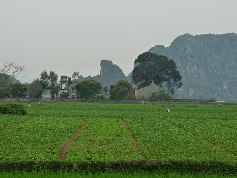 Blick auf weiter Felder