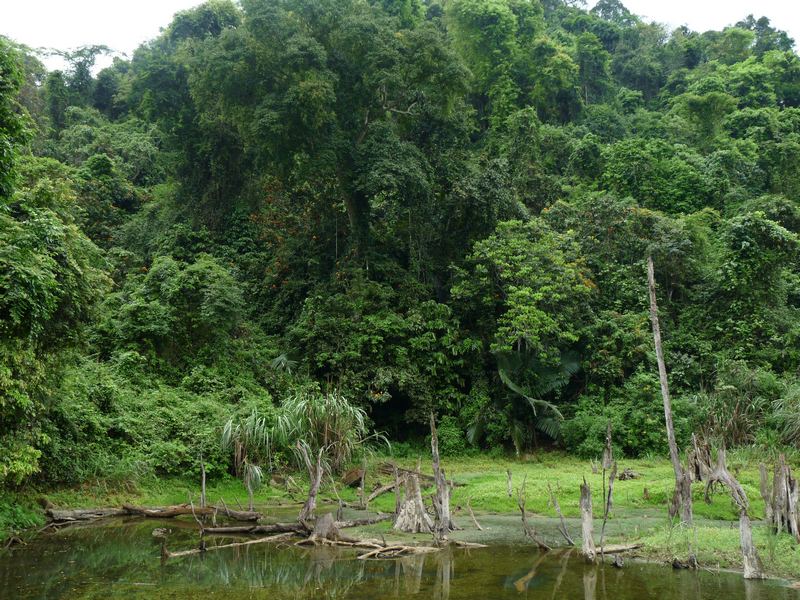 Phu Quoc ist die größte Insel von Vietnam