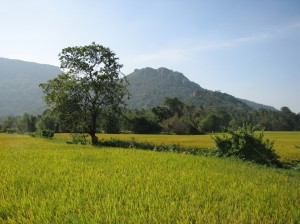 Reisebericht Vietnam - Urlaub im Paradies